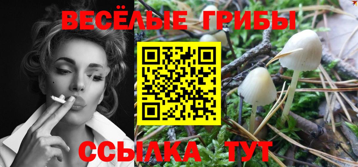 где можно купить наркотик  Псилоцибиновые грибы GOLDEN TEACHER  Канаш  Вход с VPN  Псилоцибиновые грибы ЛСД 